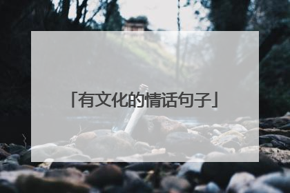有文化的情话句子