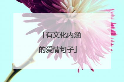 有文化内涵的爱情句子