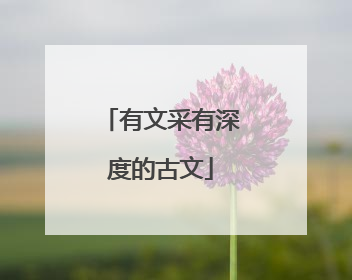 有文采有深度的古文