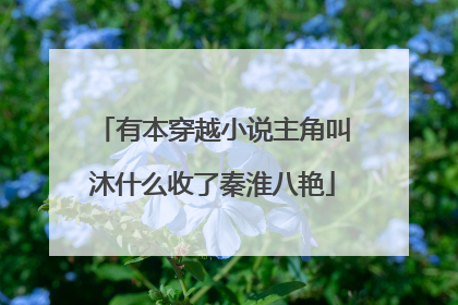 有本穿越小说主角叫沐什么收了秦淮八艳