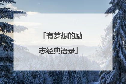 有梦想的励志经典语录
