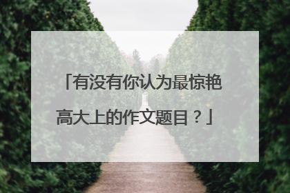 有没有你认为最惊艳高大上的作文题目？
