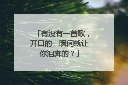有没有一首歌,开口的一瞬间就让你泪奔的?