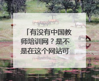 有没有中国教师培训网？是不是在这个网站可以查询教师资格证呀？