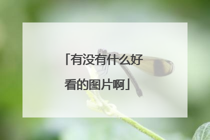 有没有什么好看的图片啊