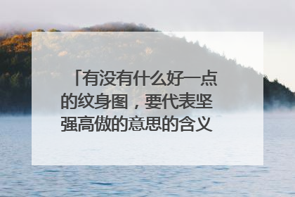 有没有什么好一点的纹身图,要代表坚强高傲的意思的含义图!最好是小一点的图腾,或者图案!