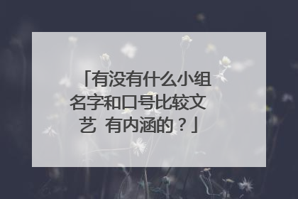 有没有什么小组名字和口号比较文艺 有内涵的？