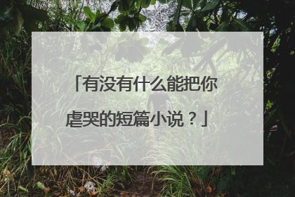 有没有什么能把你虐哭的短篇小说？