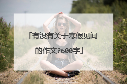 有没有关于寒假见闻的作文?600字