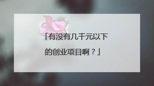 有没有几千元以下的创业项目啊？