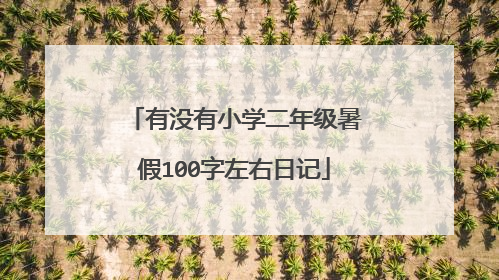 有没有小学二年级暑假100字左右日记