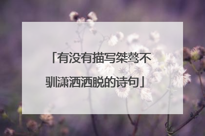 有没有描写桀骜不驯潇洒洒脱的诗句