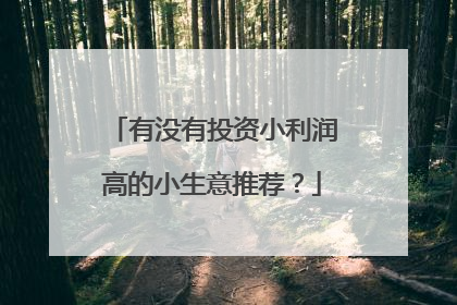 有没有投资小利润高的小生意推荐？