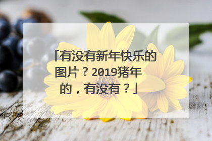 有没有新年快乐的图片？2019猪年的，有没有？