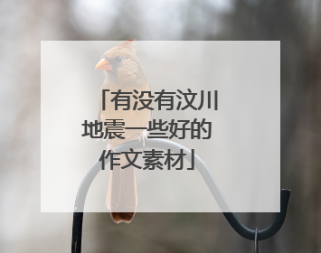 有没有汶川地震一些好的作文素材