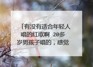 有没有适合年轻人唱的红歌啊 20多岁男孩子唱的,感觉那些红歌听起来都没怎么流行元素,能推荐几首吗