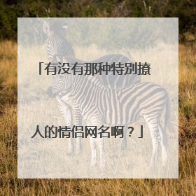 有没有那种特别撩人的情侣网名啊？