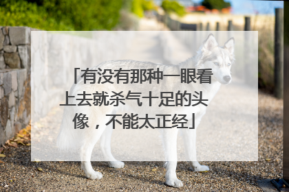 有没有那种一眼看上去就杀气十足的头像，不能太正经