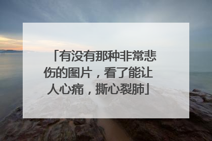 有没有那种非常悲伤的图片,看了能让人心痛,撕心裂肺