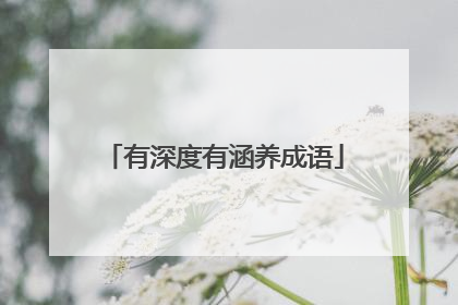 有深度有涵养成语