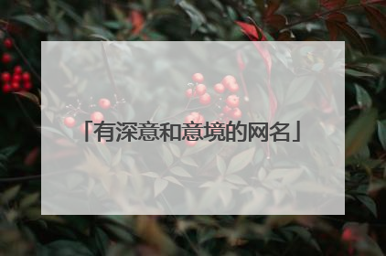 有深意和意境的网名