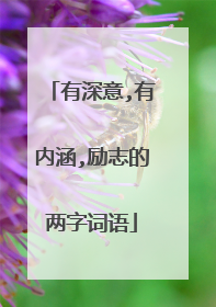 有深意,有内涵,励志的两字词语