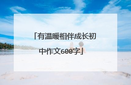 有温暖相伴成长初中作文600字