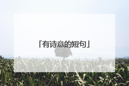 有诗意的短句