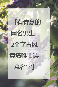 有诗意的网名男生 2个字古风意境唯美诗意名字