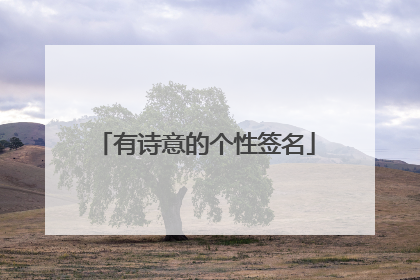 有诗意的个性签名