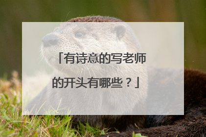 有诗意的写老师的开头有哪些?