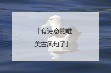 有诗意的唯美古风句子