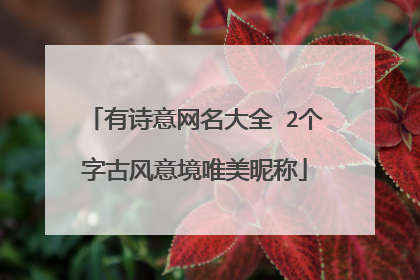有诗意网名大全 2个字古风意境唯美昵称