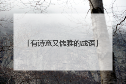 有诗意又儒雅的成语