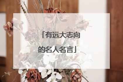 有远大志向的名人名言