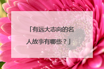 有远大志向的名人故事有哪些?