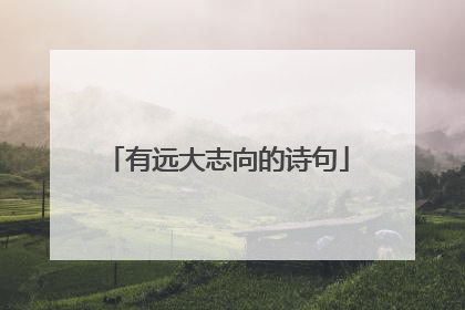 有远大志向的诗句
