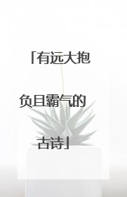 有远大抱负且霸气的古诗