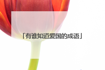 有谁知道爱国的成语