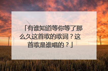 有谁知道等你等了那么久这首歌的歌词？这首歌是谁唱的？