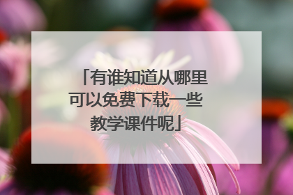 有谁知道从哪里可以免费下载一些教学课件呢