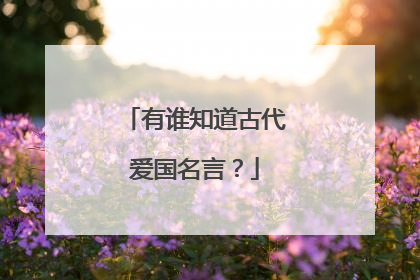 有谁知道古代爱国名言?