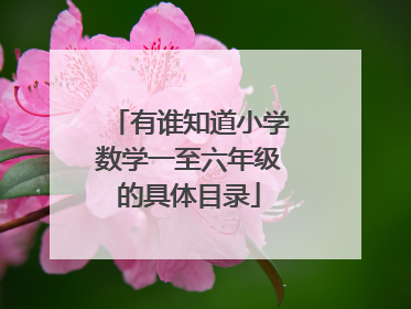 有谁知道小学数学一至六年级的具体目录