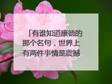 有谁知道康德的那个名句,世界上有两件事情是震撼人们心灵的...的英文版,要正确的翻译啊
