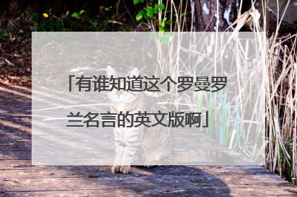 有谁知道这个罗曼罗兰名言的英文版啊