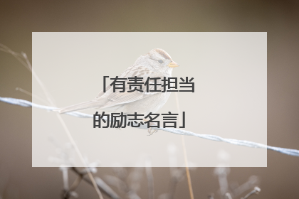 有责任担当的励志名言