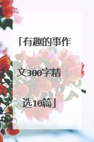 有趣的事作文300字精选10篇