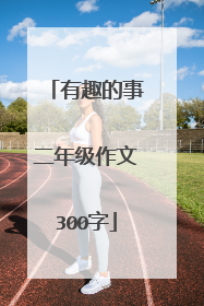 有趣的事二年级作文300字