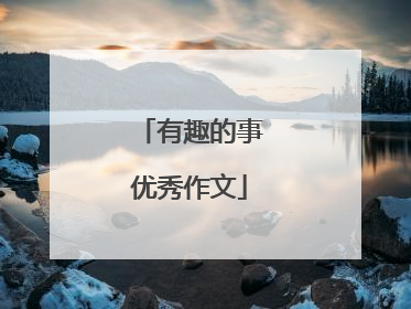 有趣的事优秀作文