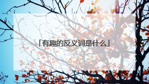 有趣的反义词是什么